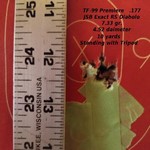 Customer image for JSB Match Diabolo Exact RS .177 (4.5mm) Cal | Pyramyd AIR 3