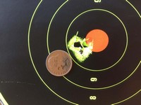 Customer image for Crosman Premier .22 Cal, 14.3 | Pyramyd AIR 2
