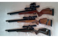 Customer image for Air Arms S510 XS Xtra FAC, Regulated, Green Poplar | Pyramyd AIR 1