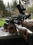 Customer image for FX Airguns Crown Forest Green | Pyramyd AIR 1