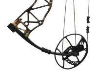 Bear Species EV, Image 6