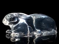 Clear Ballistic Gel, Image 4