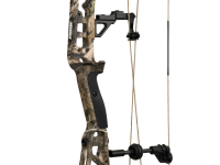 Bear Execute 32, Image 6