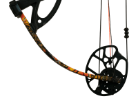 Bear Cruzer G3, Image 7