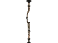 Bear Execute 32, Image 4