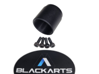 Black Arts AEA, Image 3