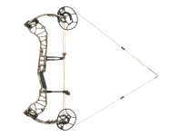 Bear Divergent, Image 2