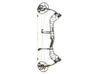 Bear Divergent, Image 5