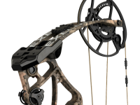 Bear Execute 32, Image 5