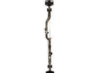Bear Execute 30, Image 4