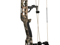 Bear Execute 30, Image 5