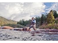 Allen Cedar Creek, Image 3