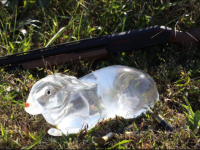 Clear Ballistic Gel, Image 2