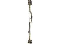 Bear Species EV, Image 2