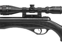 Benjamin NP Limited, Image 5
