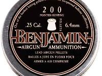 Benjamin Destroyer .25, Image 2