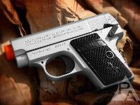 Colt 25 Silver, Image 2