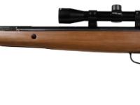 Crosman Titan GP, Image 2