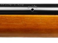 Daisy Model 10, Image 4