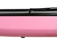 Daisy Pink 1998, Image 4