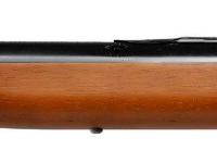 Daisy Red Ryder, Image 5