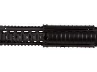 Echo 1 Stag, Image 7