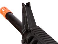 Echo 1 Stag, Image 11