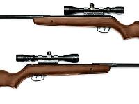 Gamo Hunter Sport, Image 2