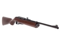 Crosman 1077W Repeatair, Image 3