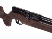 HW 100 SK, Image 5