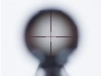 Crosman Silver Fox, Image 5