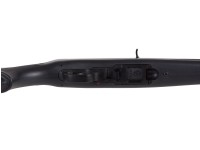 Ruger 10/22 CO2, Image 8