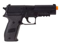 SIG Sauer Spring, Image 12