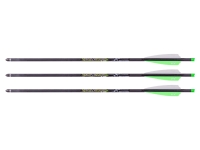 Axe Crossbows 400, Image 11