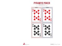 Pyramyd Air Poker, Image 5