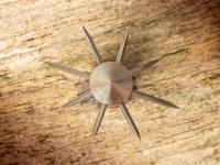 Thorn Crown 125, Image 5