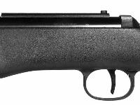 Diana RWS 350, Image 6
