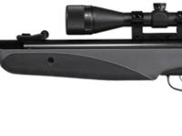 Remington Genesis w/3-9x40, Image 2
