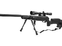 Stoeger ATAC Suppressor, Image 10