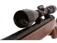 Tech Force M12, Image 8