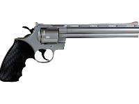 TSD 141SR Gas, Image 2