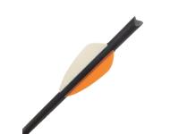 Allen Titan Fiberglass, Image 4