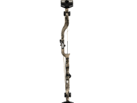 Bear Execute 30, Image 4