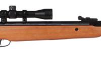 Crosman Storm XT, Image 2