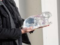 Clear Ballistic Gel, Image 6