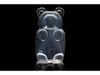 Clear Ballistic Gel, Image 2