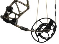 Bear Execute 30, Image 6