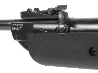 Swiss Arms Air, Image 7
