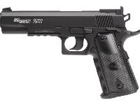 Swiss Arms Air, Image 2