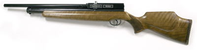 Webley Raider 10